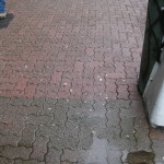 Brick Sidewalk 1