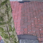 Brick Sidewalk 2