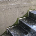 Concrete Stairs & Retaining Wall 1